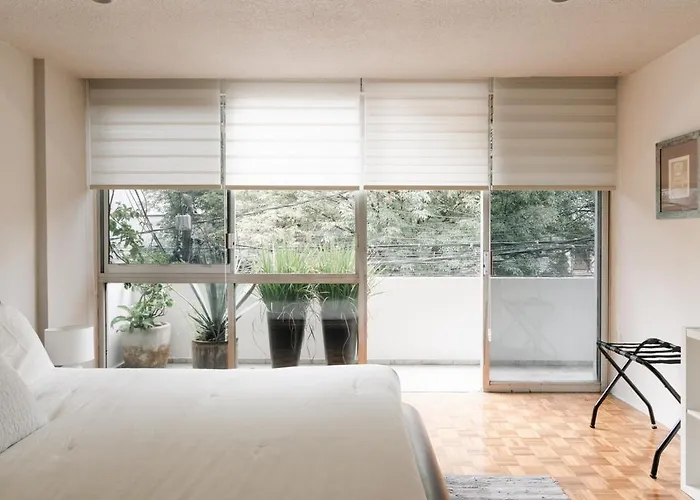 Amazing In Condesa Apartamento